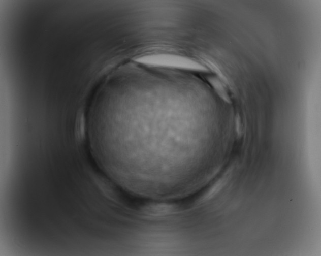 X0000092070205200710031124