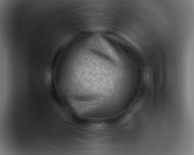 X0000092070206200710031124