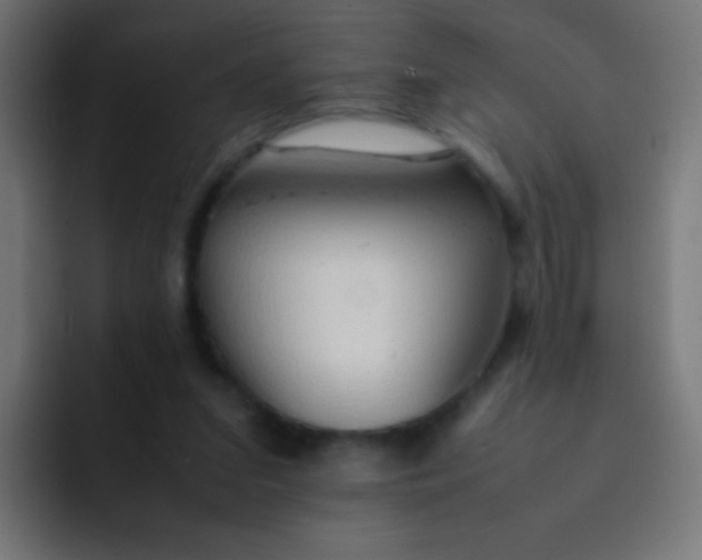 X0000092070207200710031124