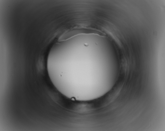 X0000092070212200710031124