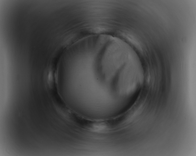 X0000092070214200710031124