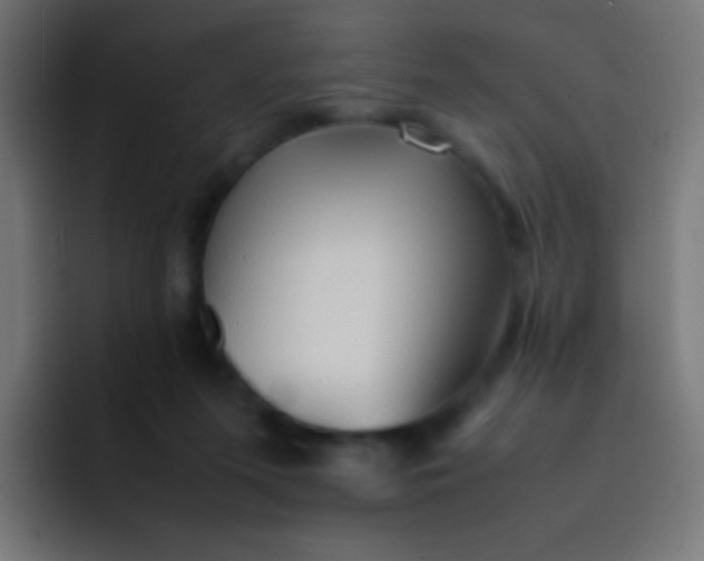 X0000092070215200710031124