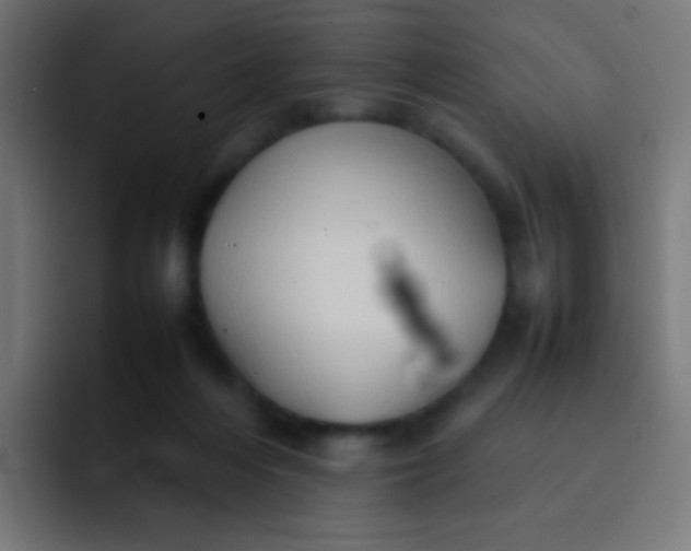 X0000092070216200710031124