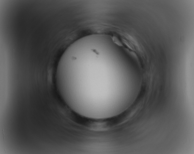 X0000092070217200710031124
