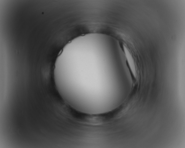 X0000092070221200710031124