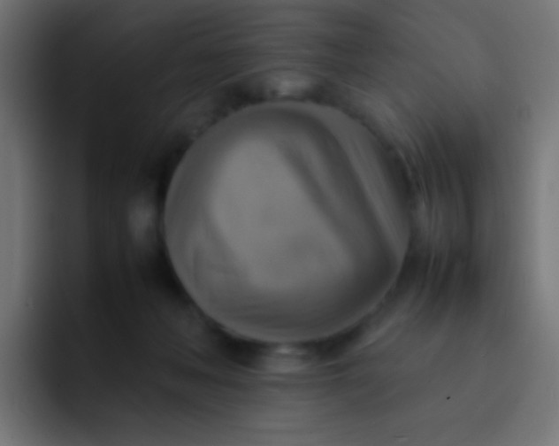 X0000092070222200710031124