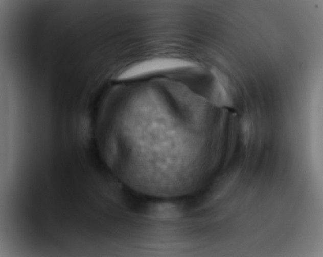 X0000092070224200710031124