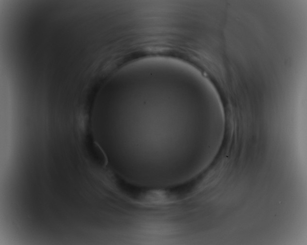 X0000092070227200710031124