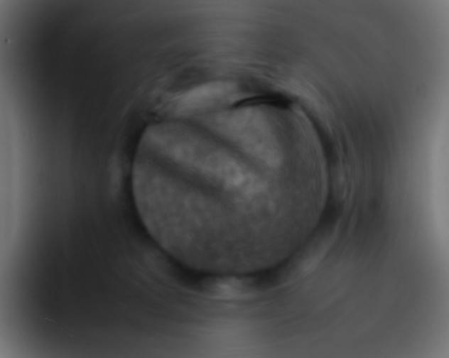 X0000092070229200710031124