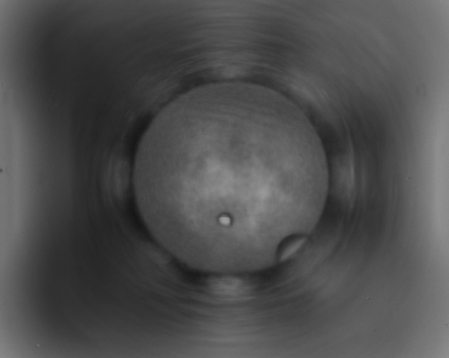 X0000092070230200710031124