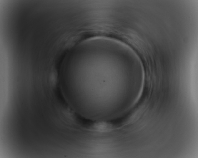 X0000092070231200710031124
