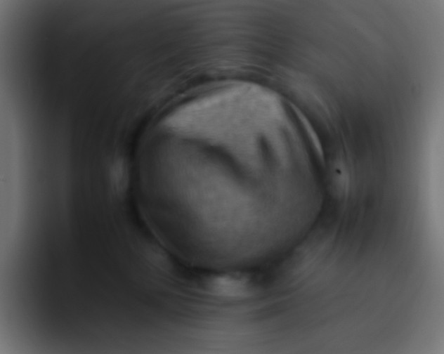 X0000092070232200710031124