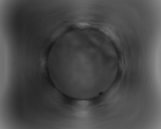 X0000092070233200710031124