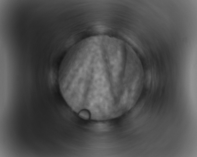 X0000092070236200710031124
