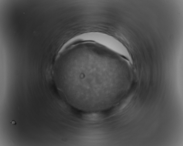 X0000092070237200710031124
