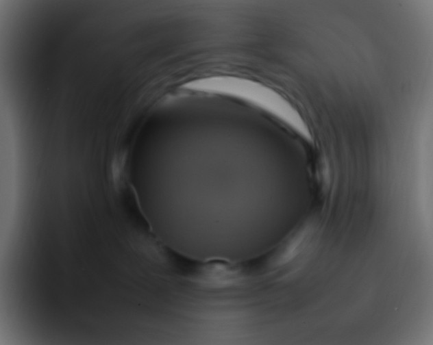 X0000092070239200710031124
