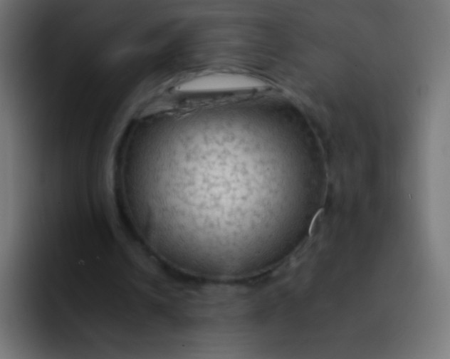 X0000092070242200710031123