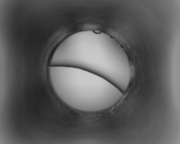 X0000092070243200710031123