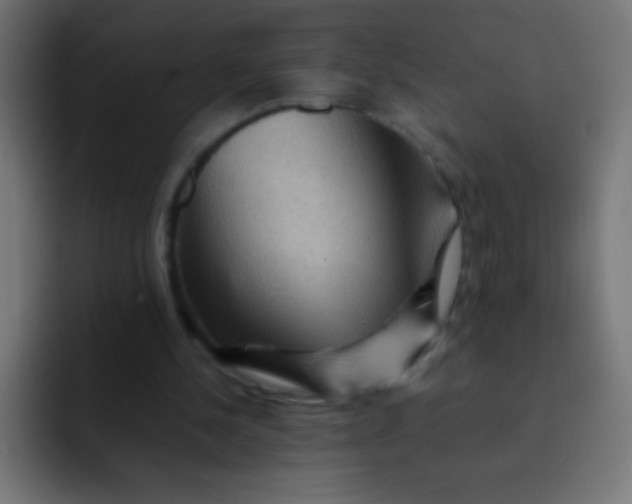 X0000092070244200710031123