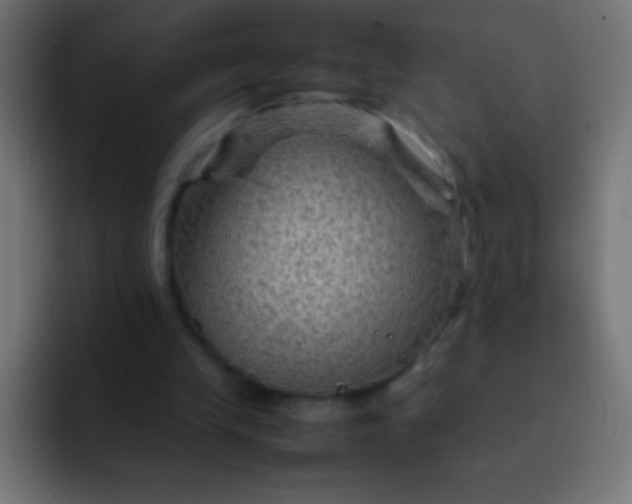 X0000092070245200710031123