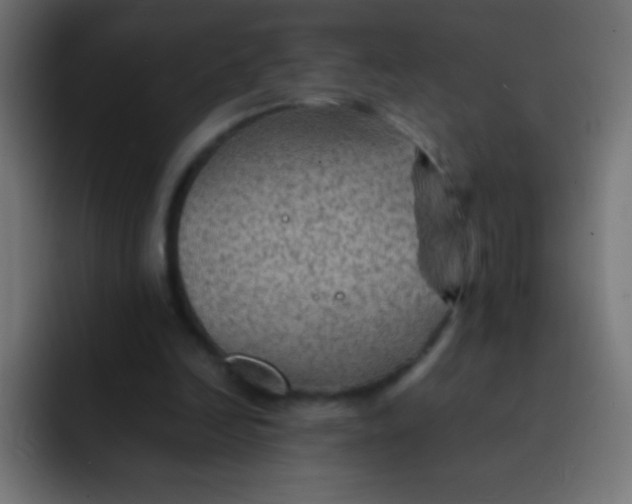 X0000092070246200710031123