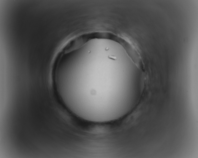 X0000092070248200710031123