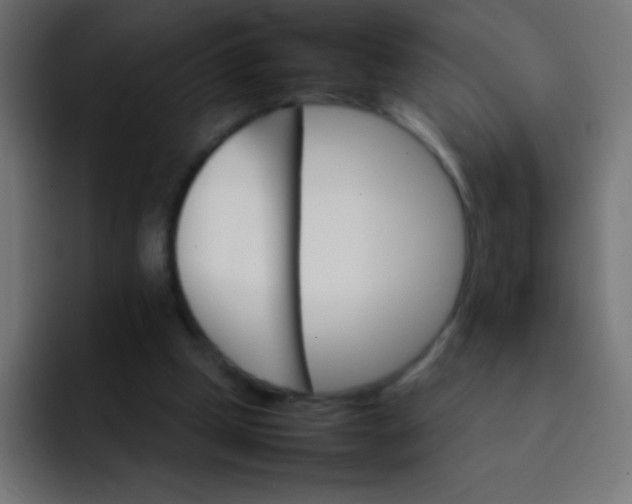 X0000092070249200710031123