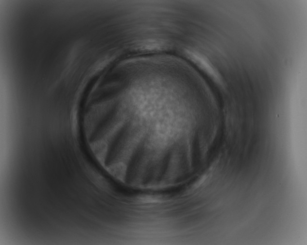 X0000092070250200710031123