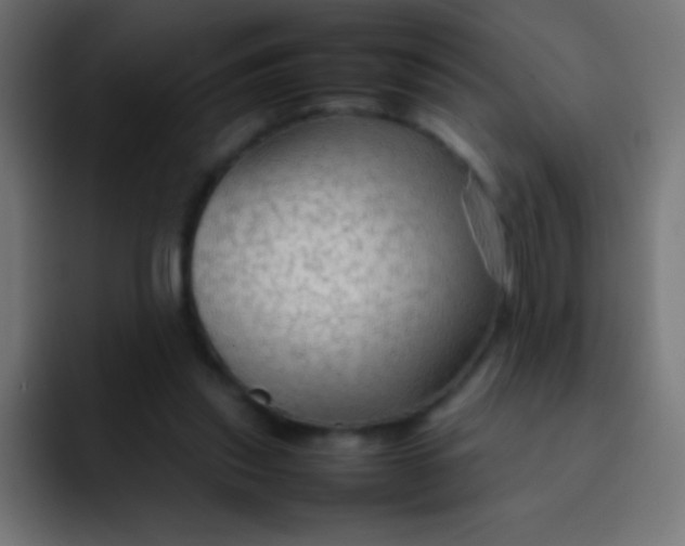 X0000092070253200710031123