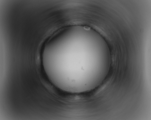 X0000092070254200710031123