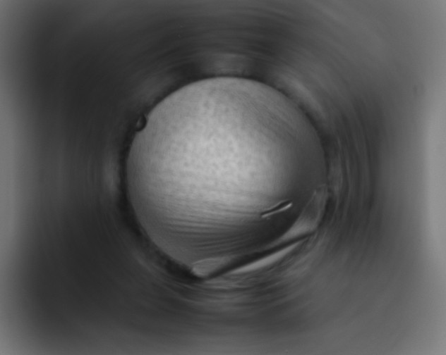 X0000092070255200710031123