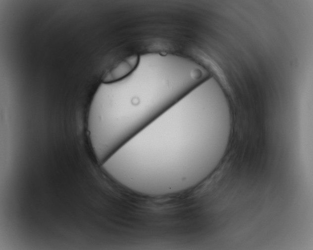 X0000092070257200710031124