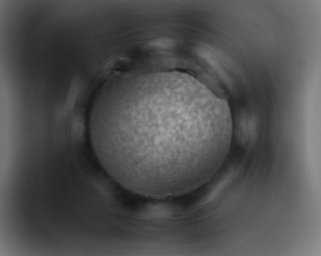 X0000092070259200710031124