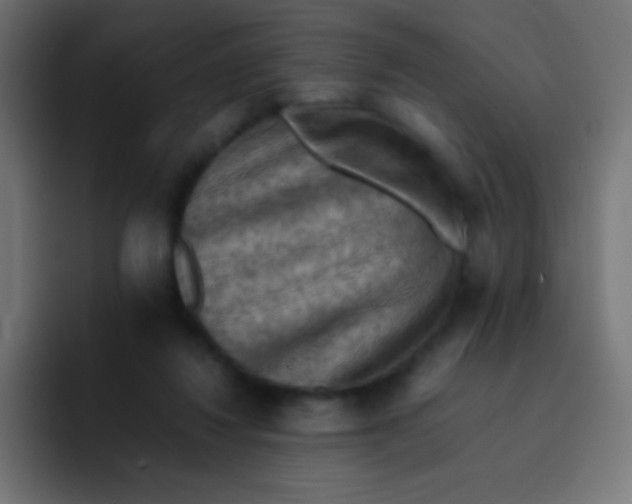 X0000092070260200710031124