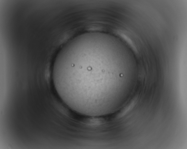 X0000092070261200710031124
