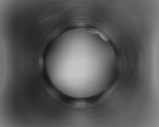 X0000092070262200710031124