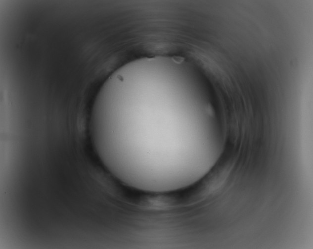 X0000092070268200710031124