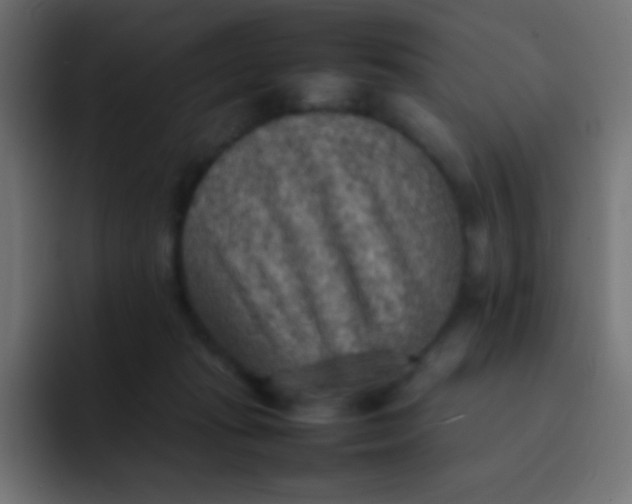 X0000092070269200710031124
