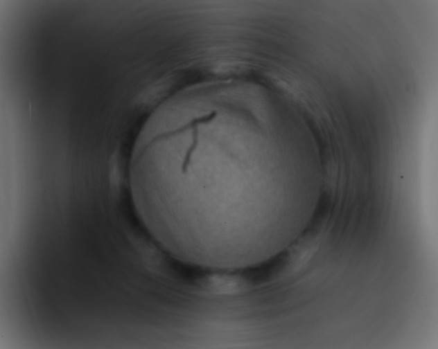 X0000092070272200710031124