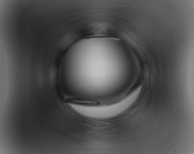 X0000092070280200710031124