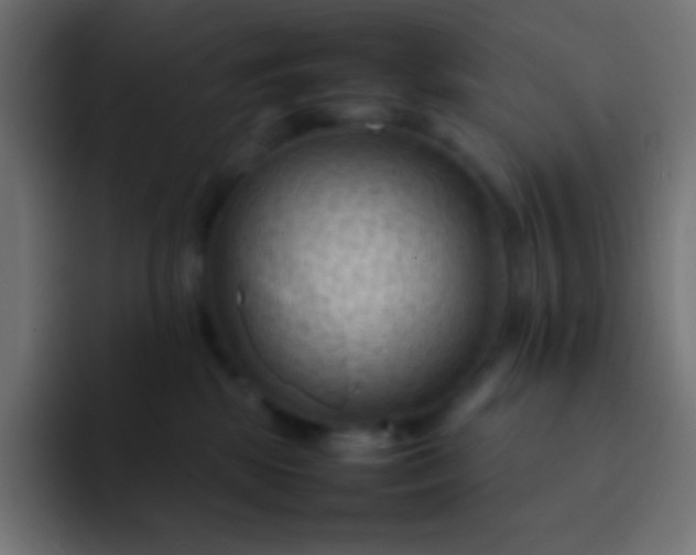 X0000092070281200710031124