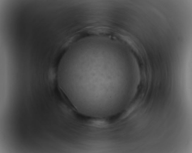X0000092070284200710031124