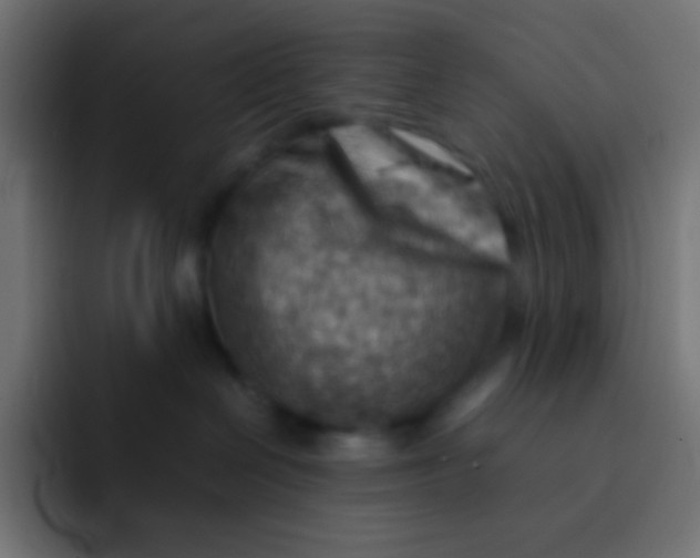 X0000092070286200710031124