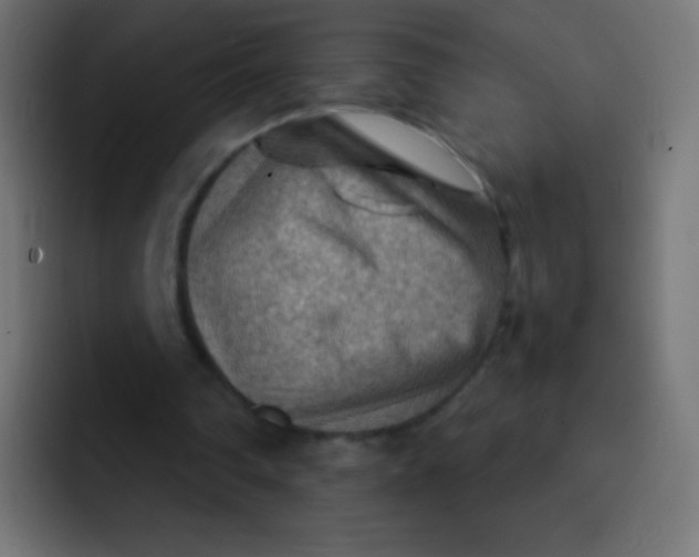 X0000092070290200710031123