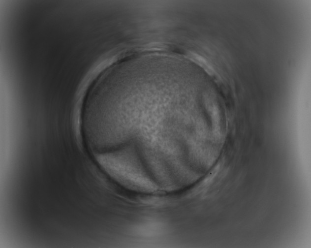 X0000092070293200710031123