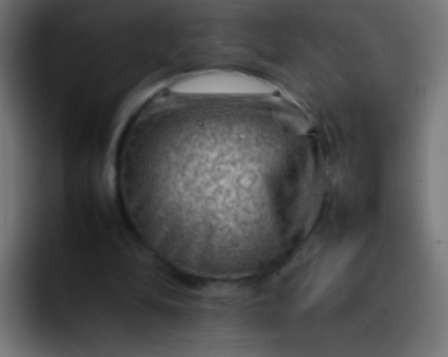 X0000092070294200710031123
