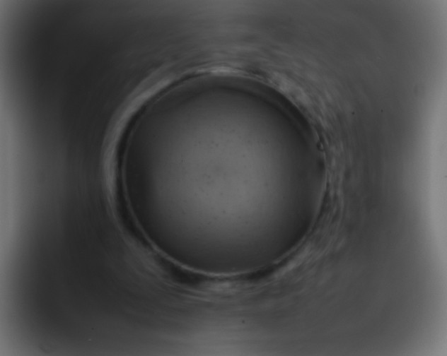 X0000092070295200710031123