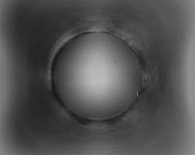 X0000092070296200710031123