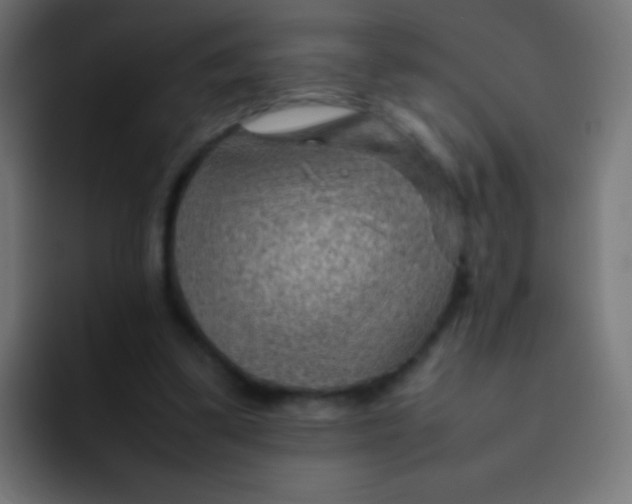 X0000092070299200710031123