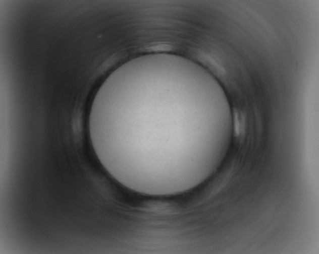 X0000092070300200710031123